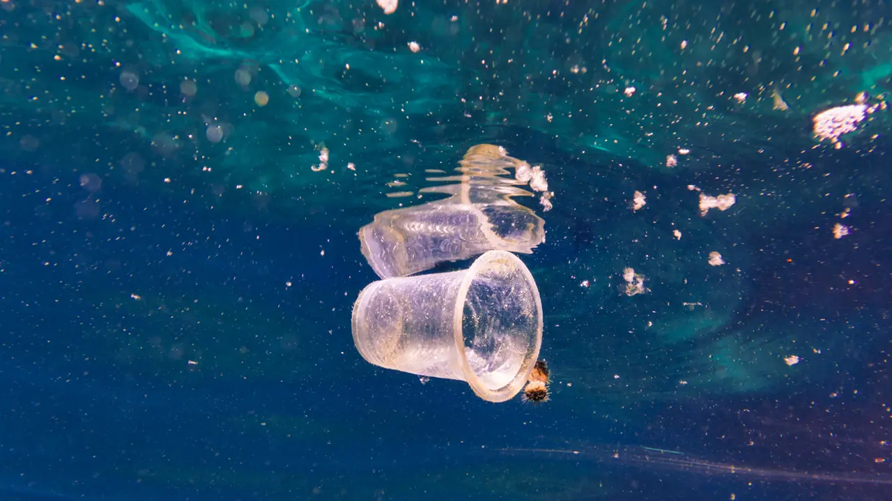 QLD, SA, and WA to ban more plastic from 1 September