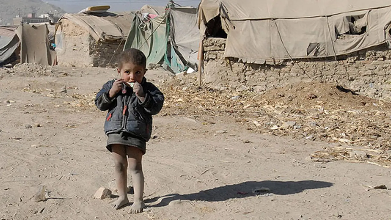 Make a decision about refugees and asylum seekers