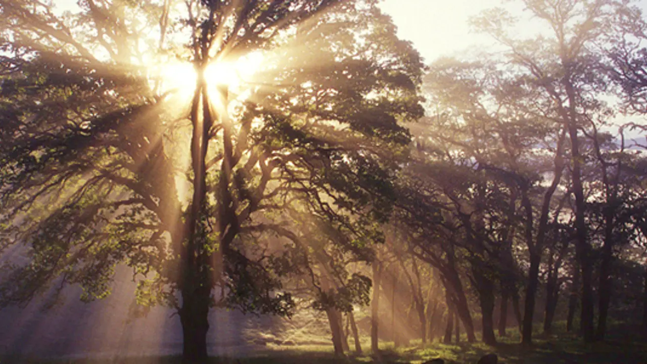 Use what God has given us — productively