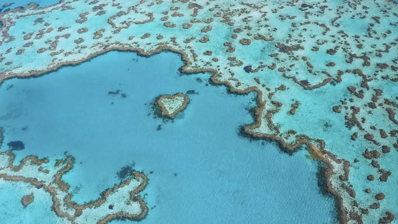 Faith Ecology Network presents The Reef