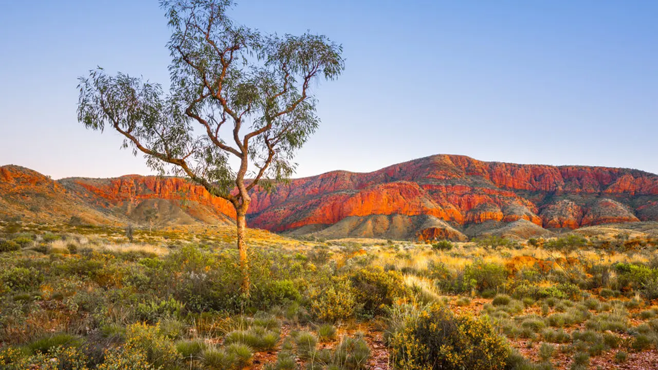 Pitt Street Uniting Church hosts Listening to Country series