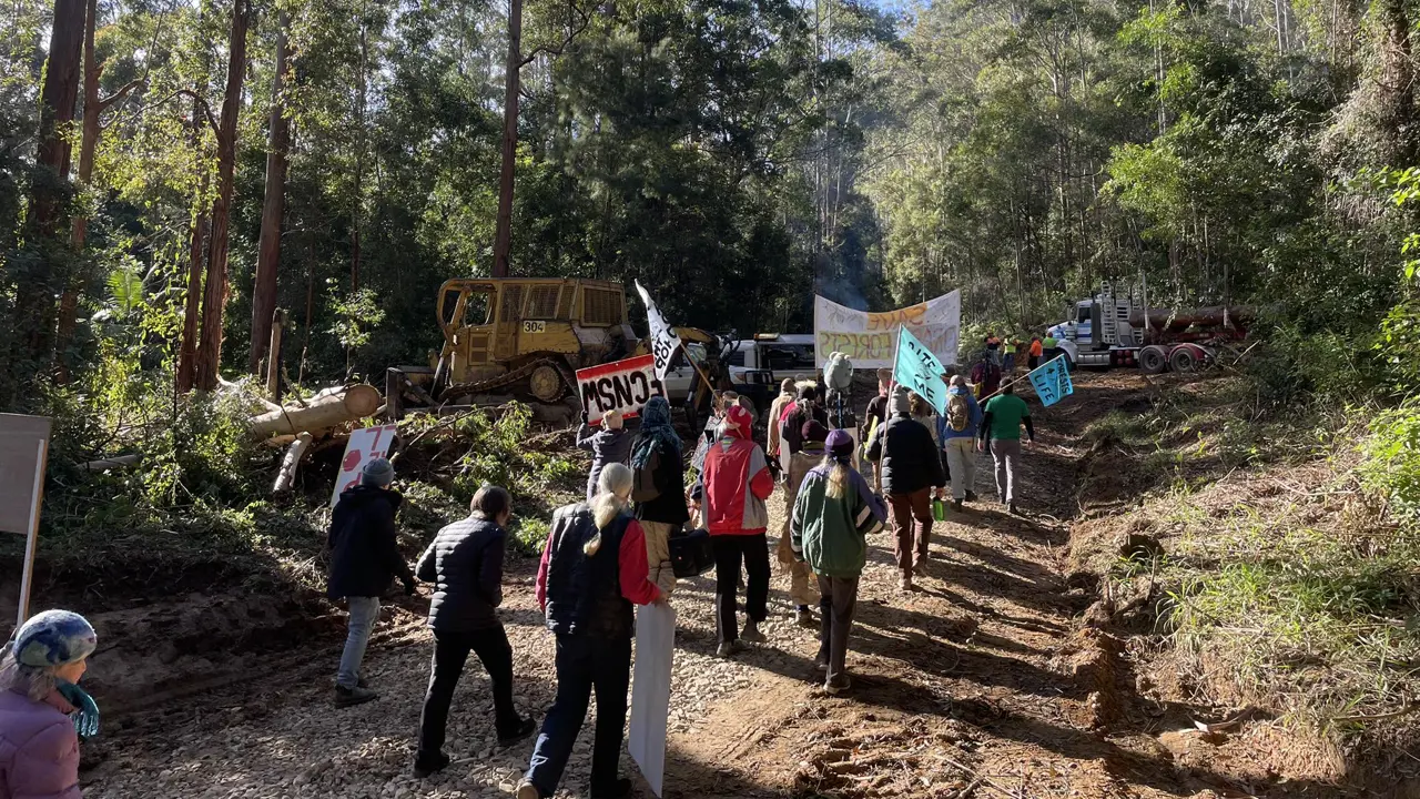 Forest Chaplain echoes calls to halt logging on Gumbaynggirr Country