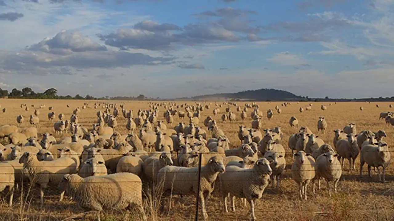 Moderator pledges funds to rural Presbyteries for drought relief