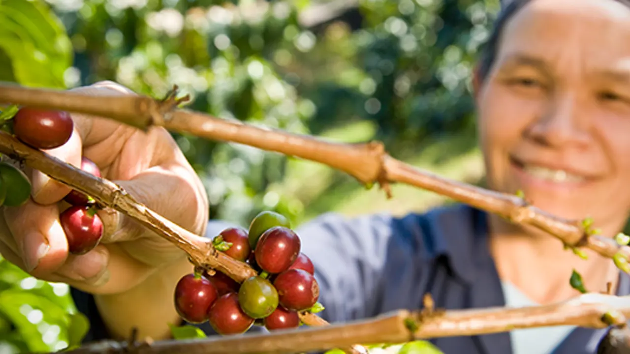 Fair Trade Faith Conference a first for Queanbeyan