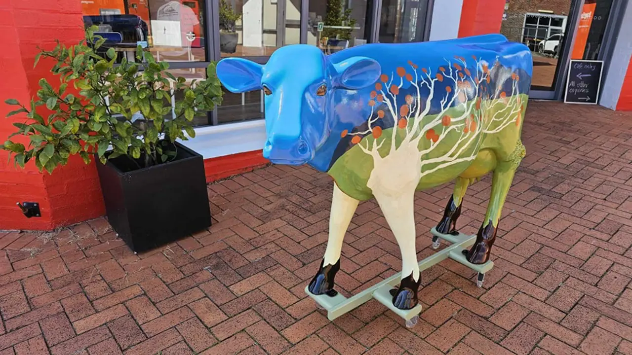 Our own dairy cow