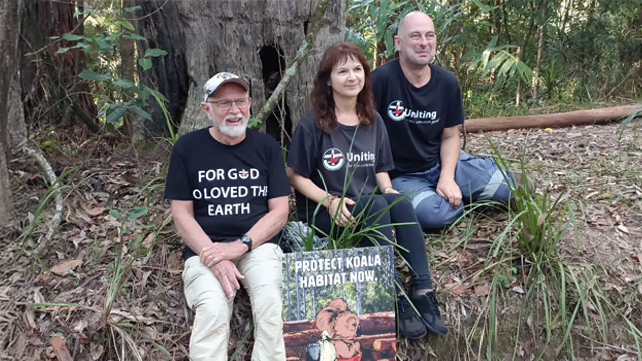 Great Koala National Park Secured, But the Struggle for Forests Goes On