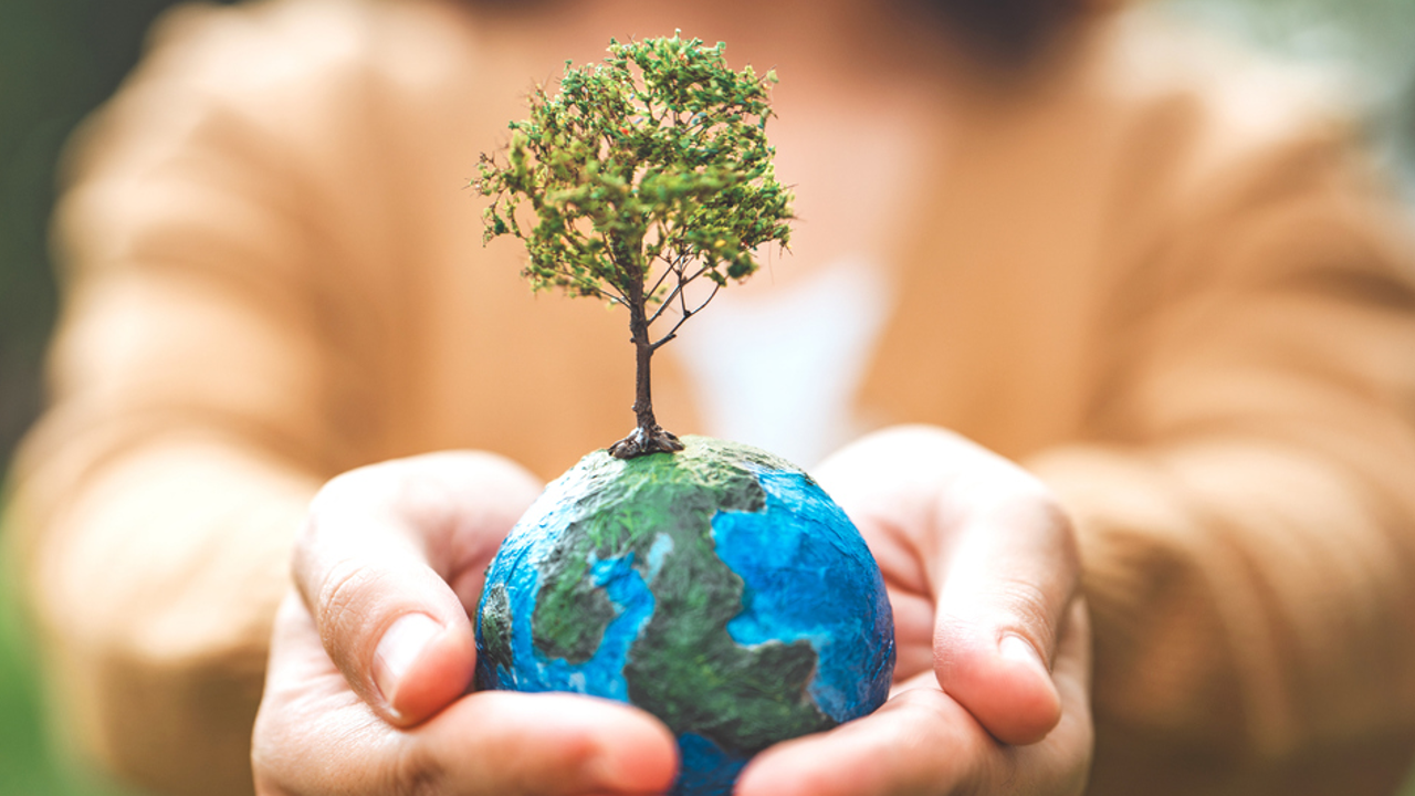 Creation Care as Faithful Worship