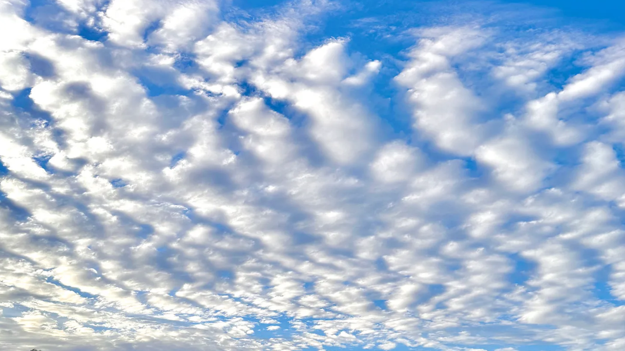 What is a transcendent experience?