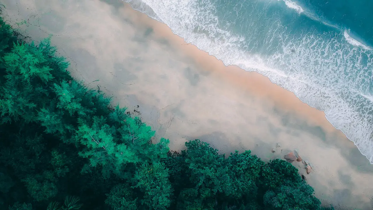 A New Resource for Climate Action Launched