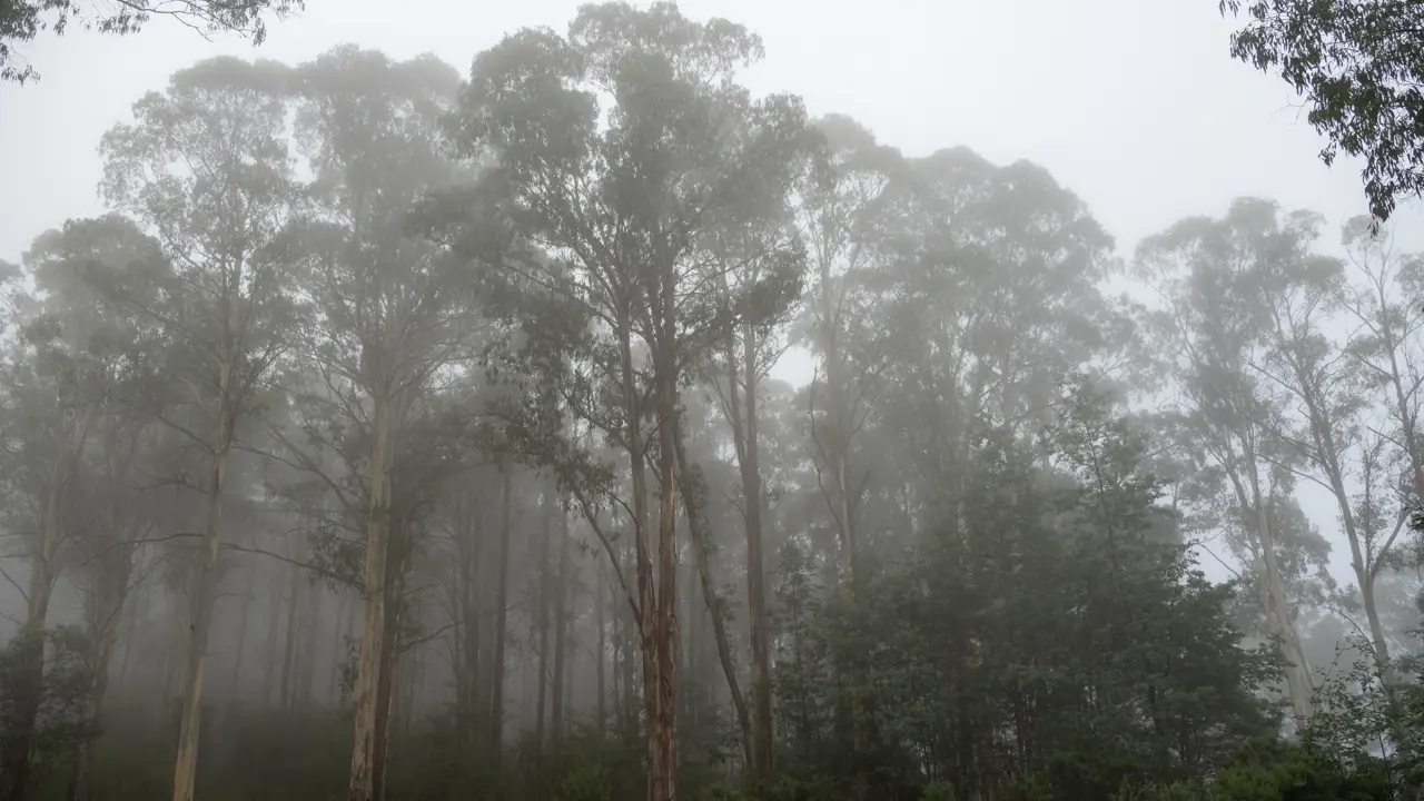 Winter 2026 Ruminations - OUT NOW!!