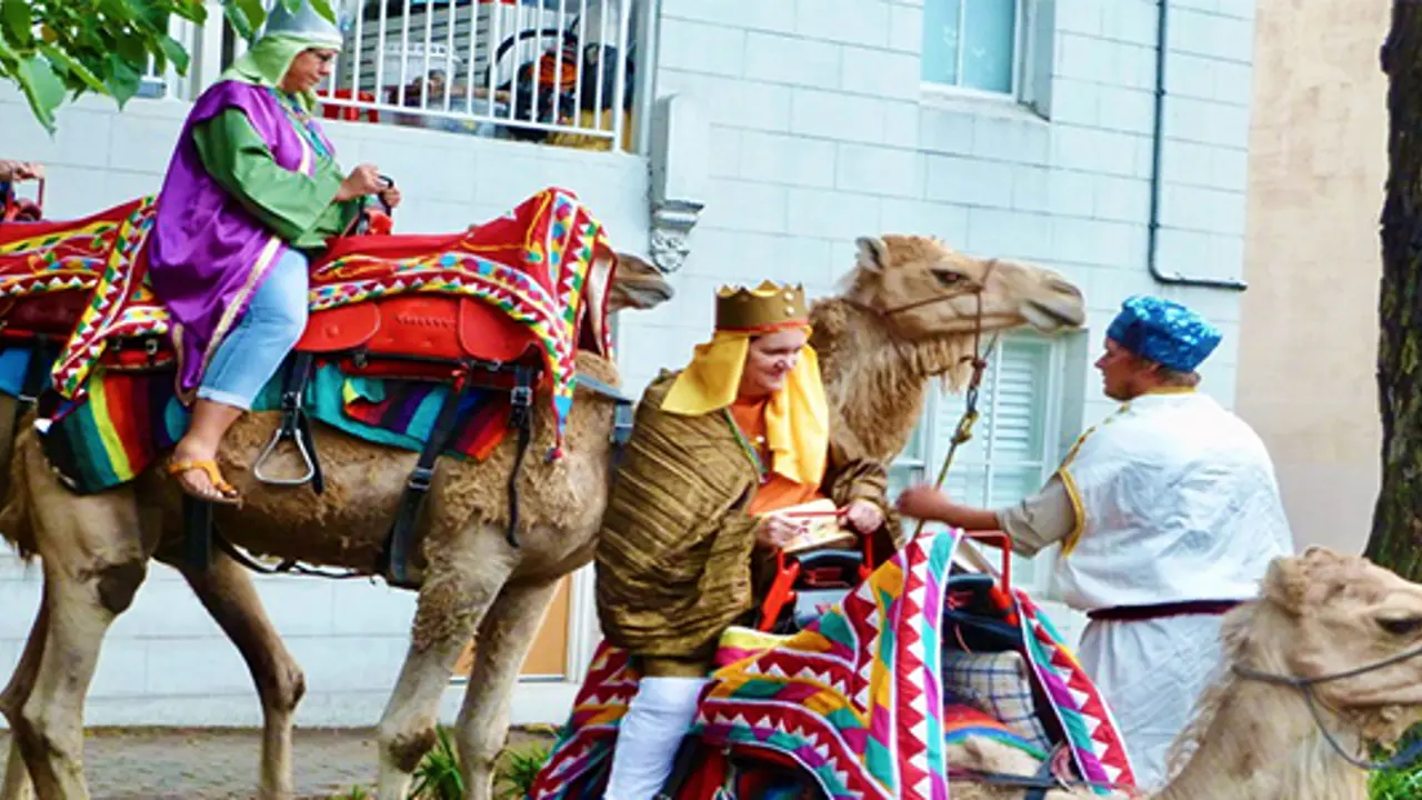 A camel walks into a bar…