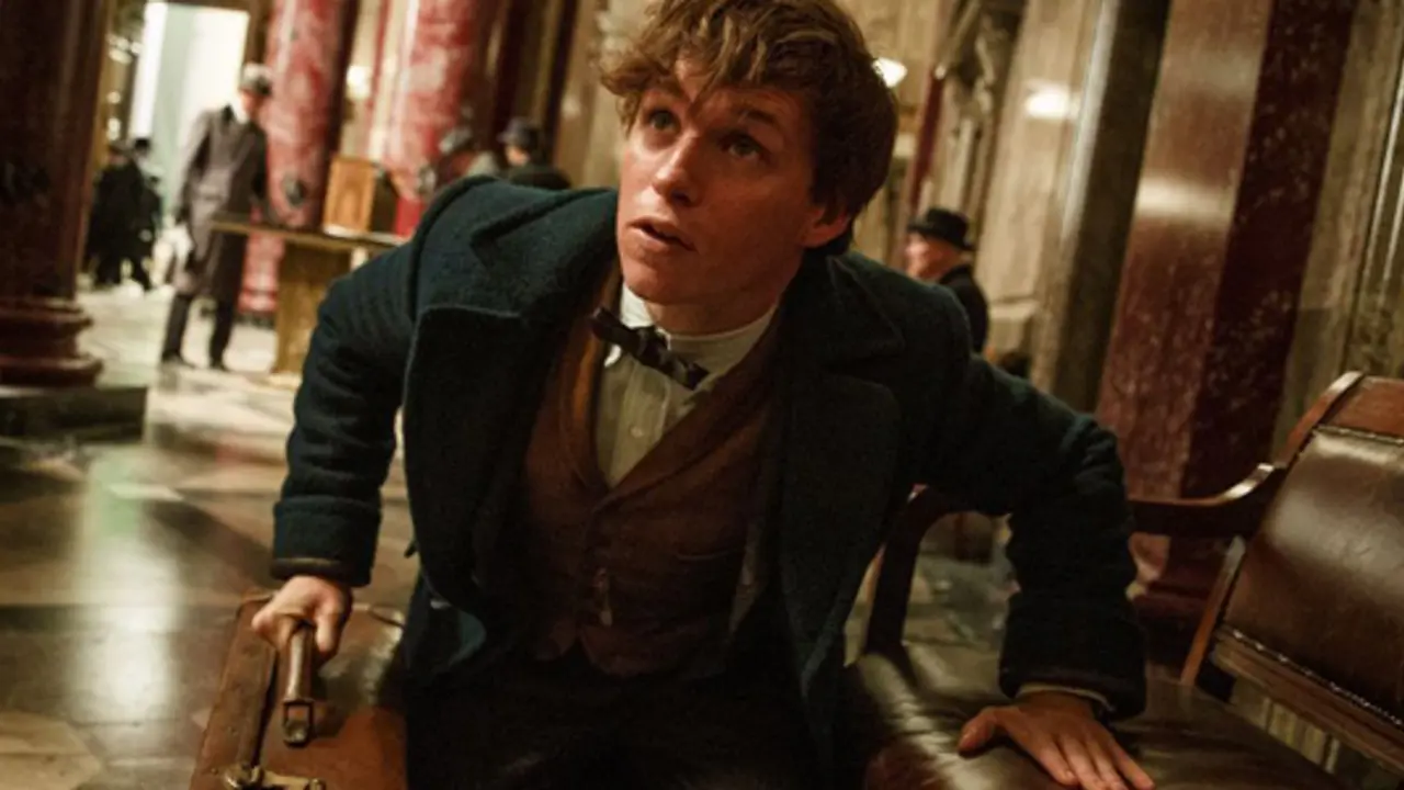 Fantastic beasts spin their magic