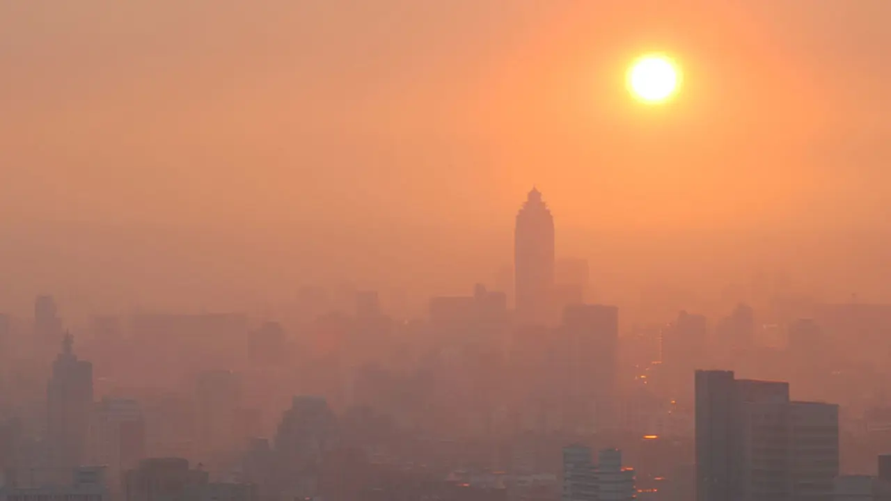 Is our self-importance killing the planet?