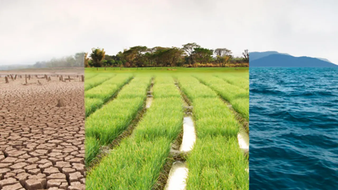 Climate Change and the 2019 election