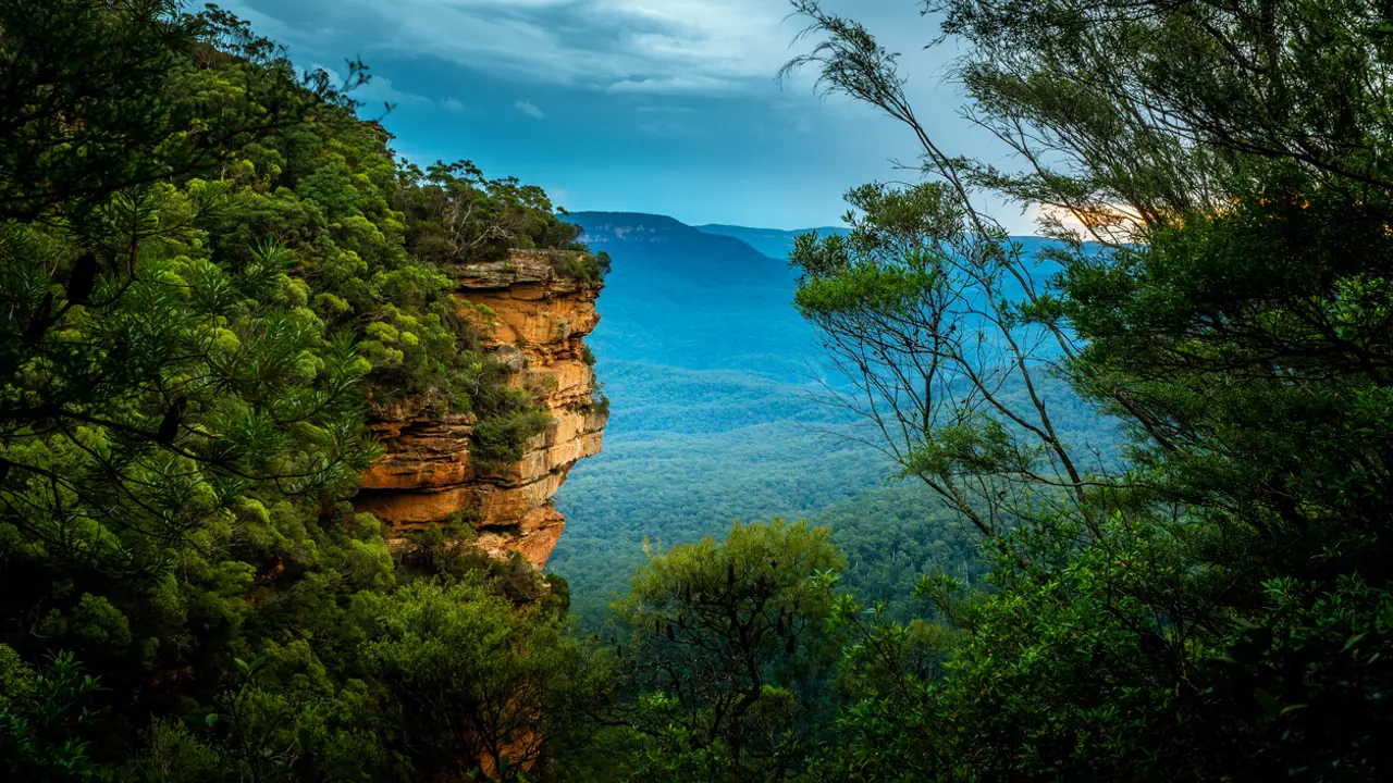 The value of wild places