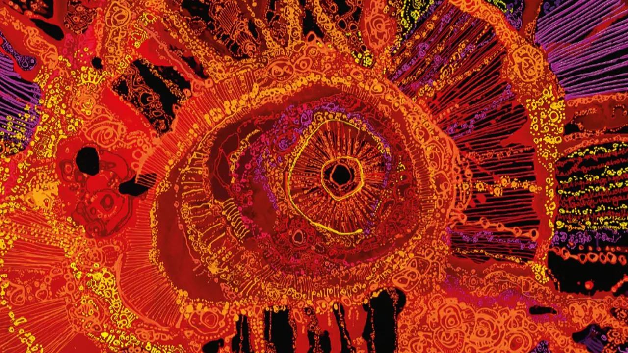 Still Here, Still Deadly, Still Fighting: NAIDOC 2026