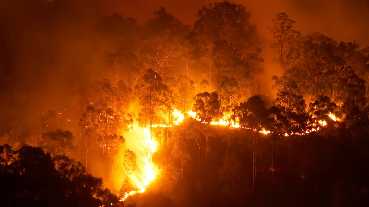 Incorporating Indigenous practices into understanding bushfires