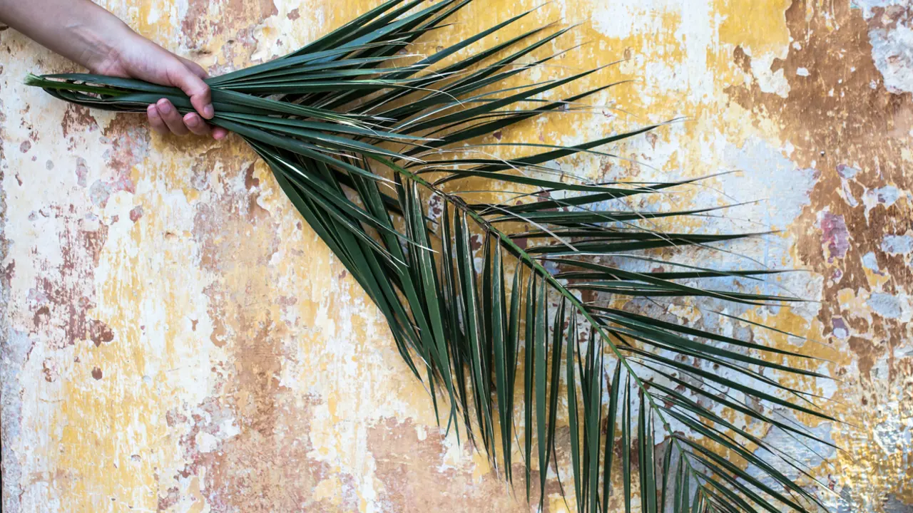 Why Palm Sunday matters
