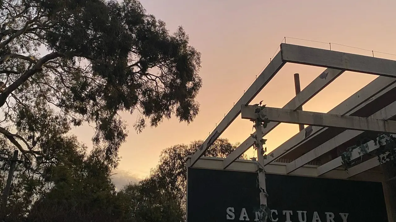 Transformed Sanctuary Launches