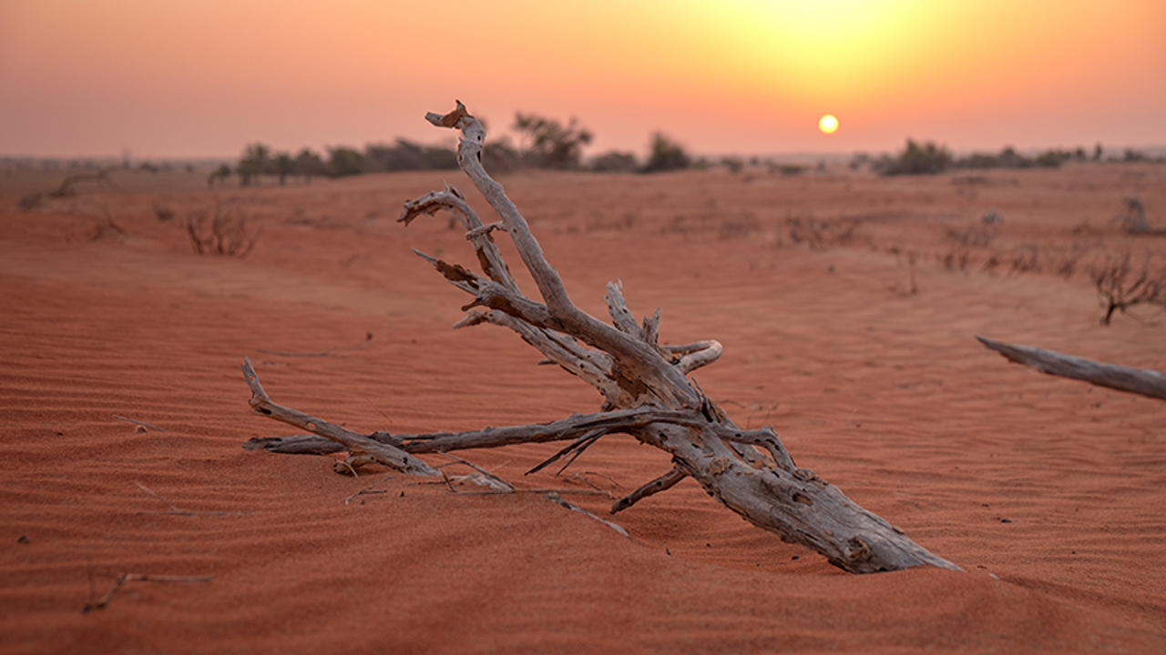 Unprecedented Heat: 2023 Breaks Records Across the Board