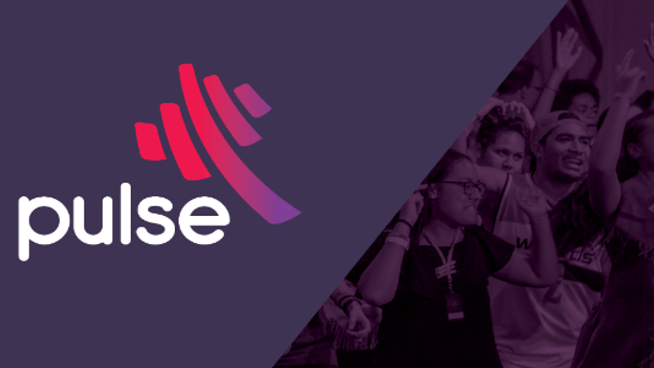 Karen Mitchell Lambert Named As New Pulse Leader