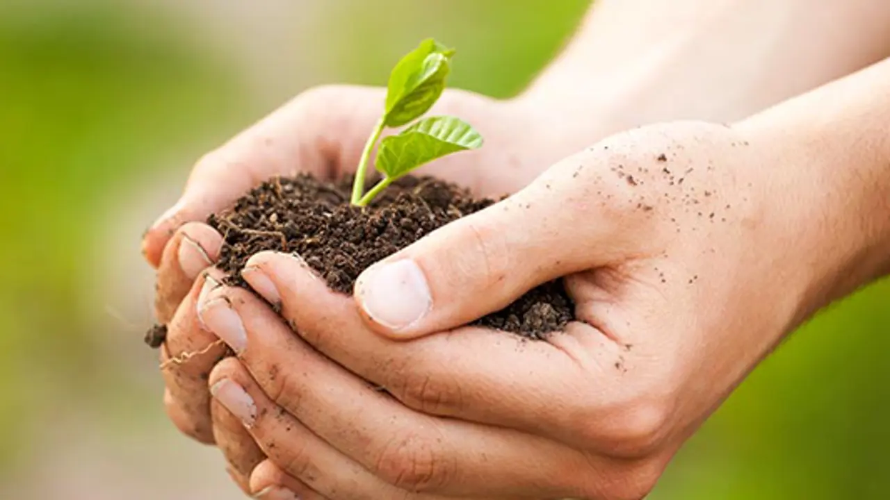 Stewardship of Faith