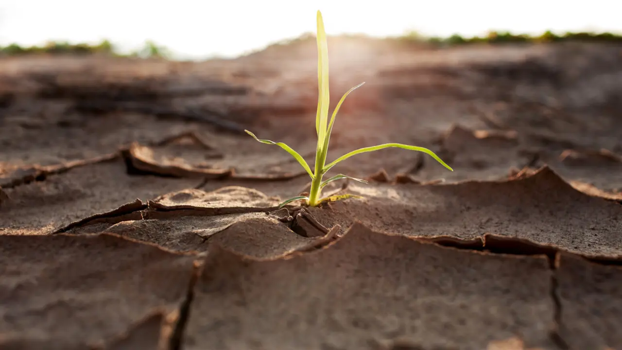 Appetite for action on climate and environment obvious at UCAN forum