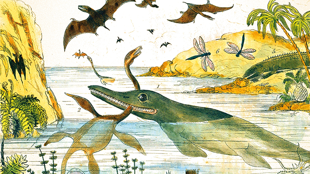 Reconciling belief in God and evolution