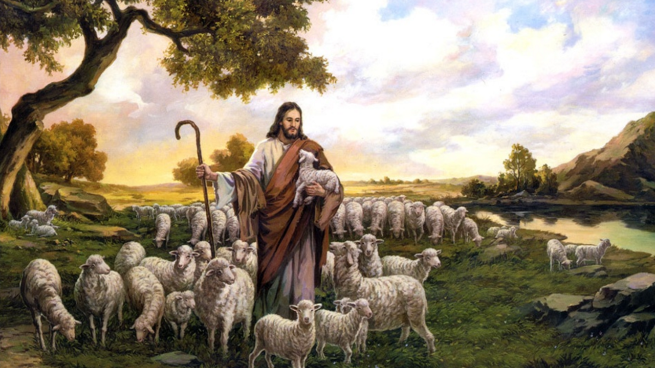The Good Shepherd – A reflection on Psalm 23 and John 10:1-10