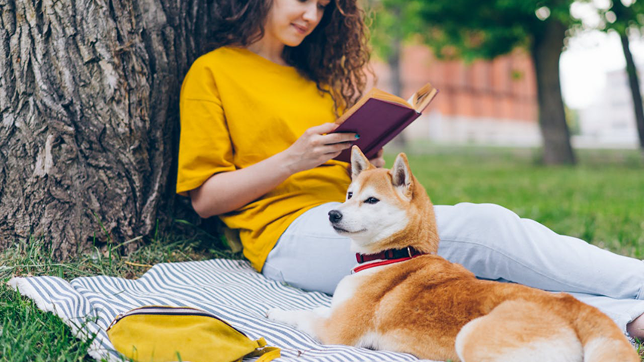 US Millennials and Gen Z Drive Surge in Bible Engagement, New Report Finds
