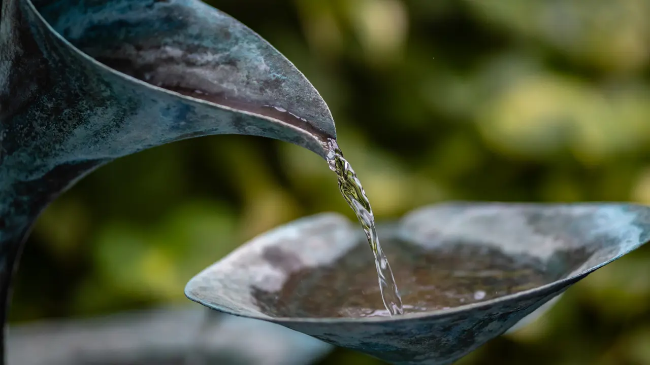Wellspring of Life