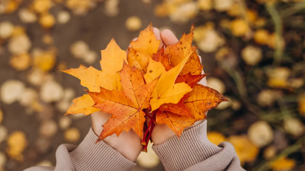Mission in the Autumn season