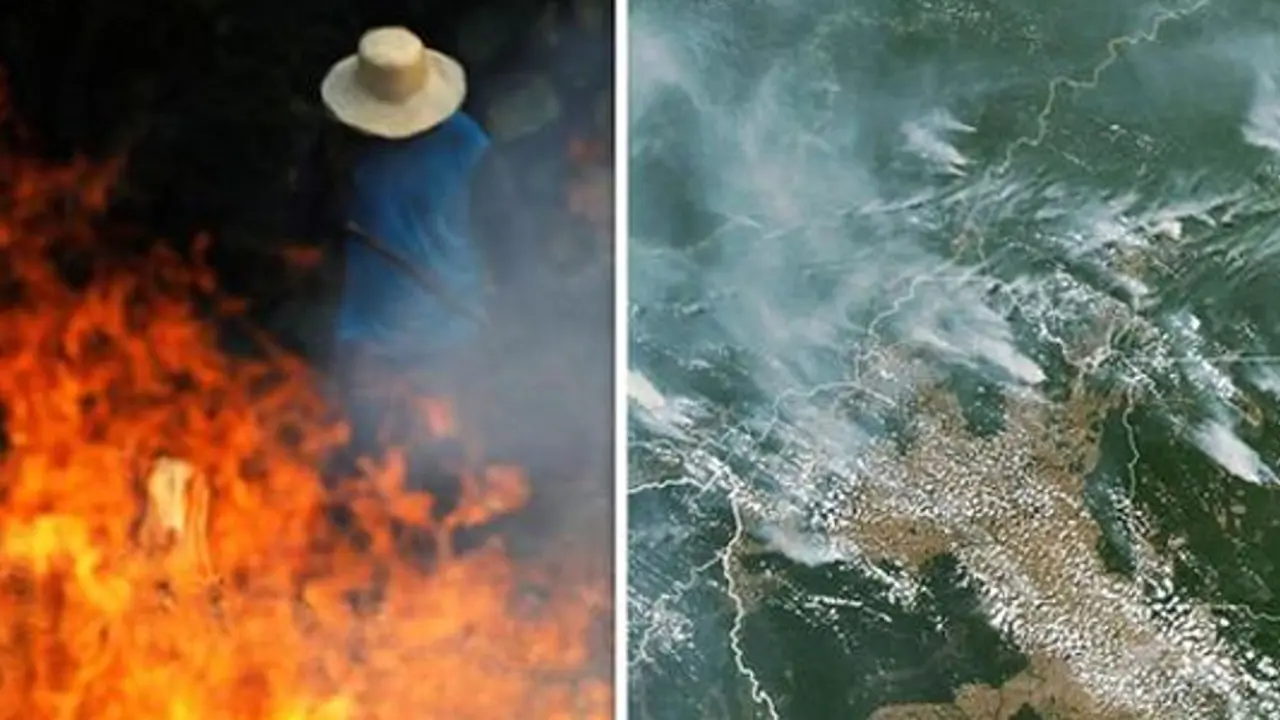 Taking action for the sake of the lungs of the earth