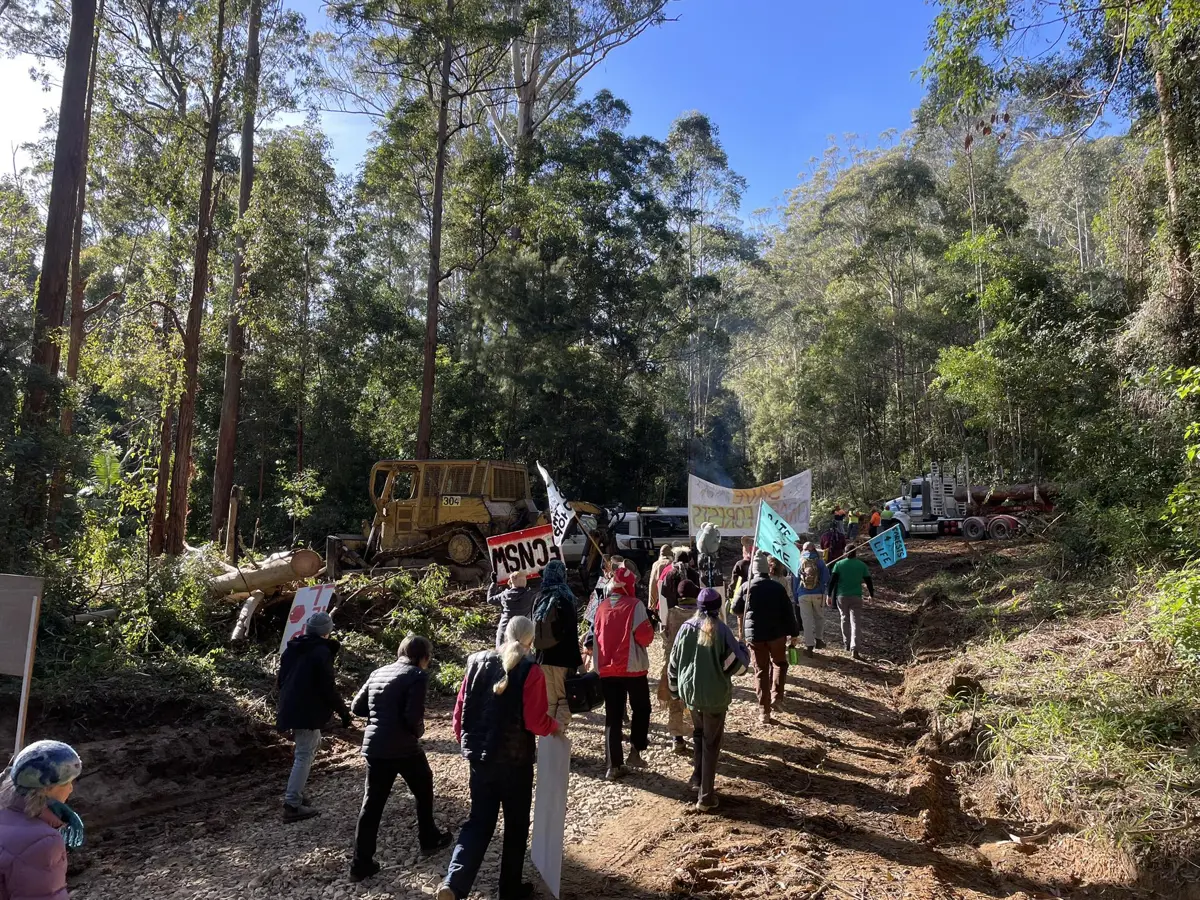 community-walk-on-at-orara-east-state-forest-june-18-photo-by-bellingen-activitst-network