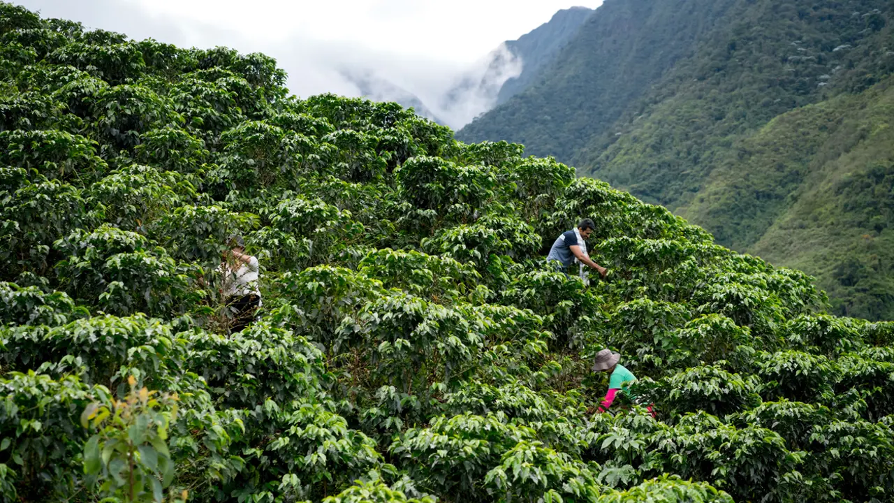 Why are church leaders resistant to Fair Trade?