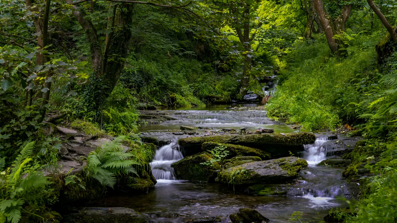July: Following Jesus’ models of life