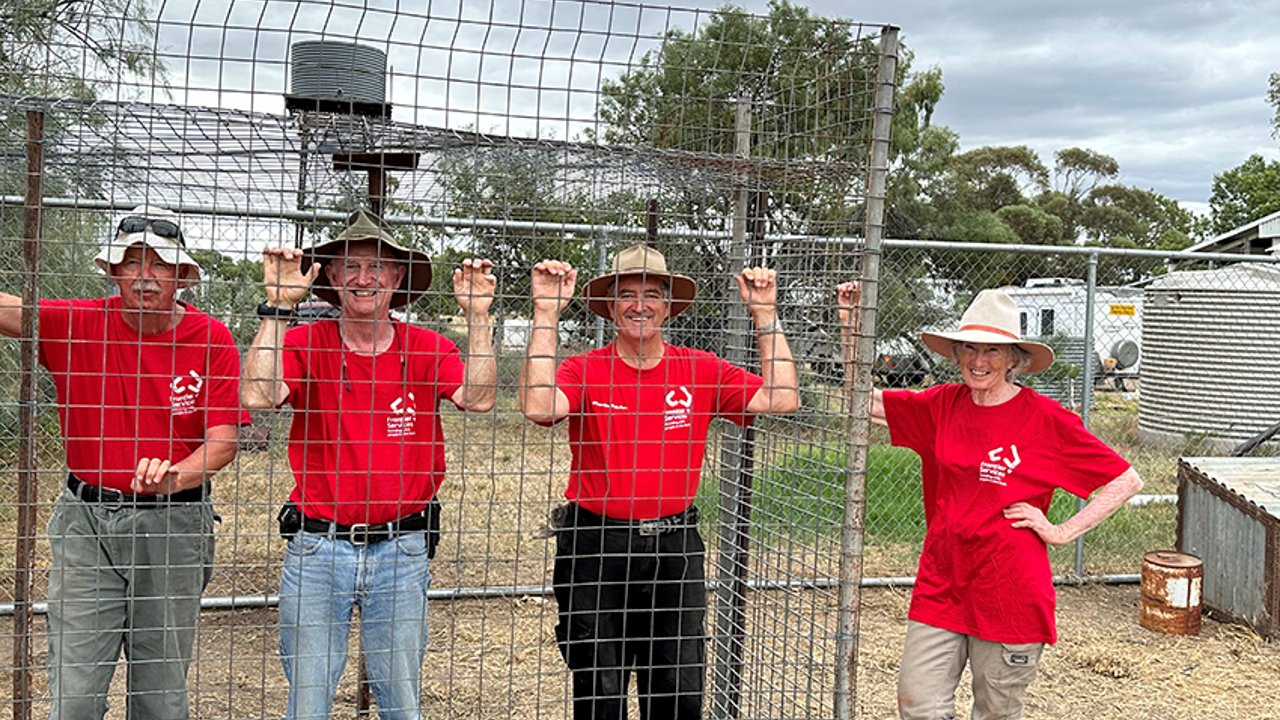 Megan’s chooks are safe – thanks to dedicated volunteers