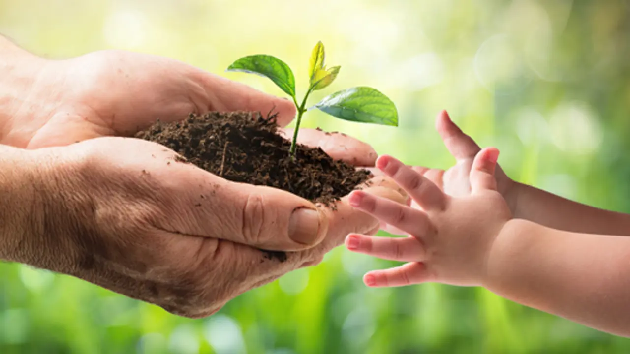 A life-giving story to show and tell