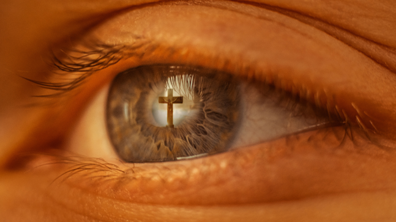 November: Seeing and Being Seen 