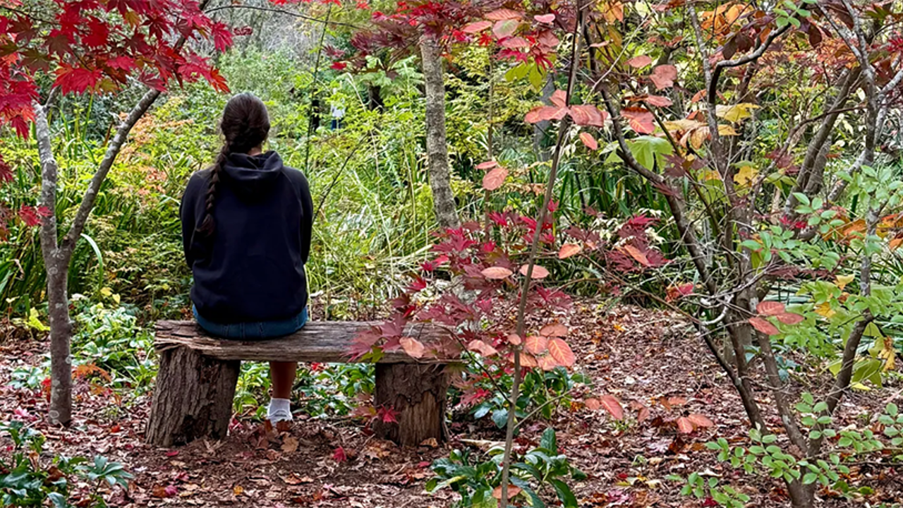 The Bliss of a Quieter Ego