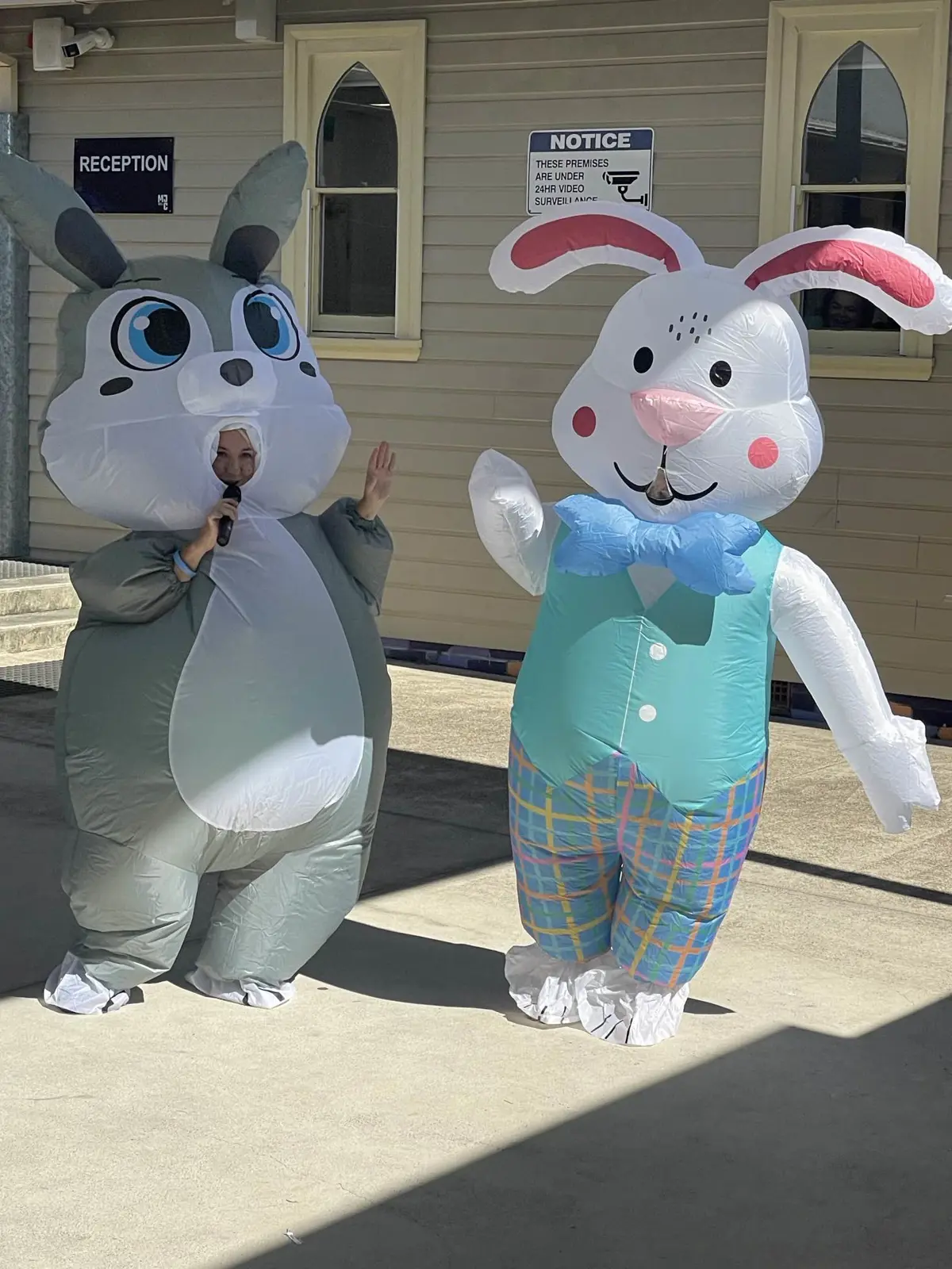 1-easter-bunny-x2