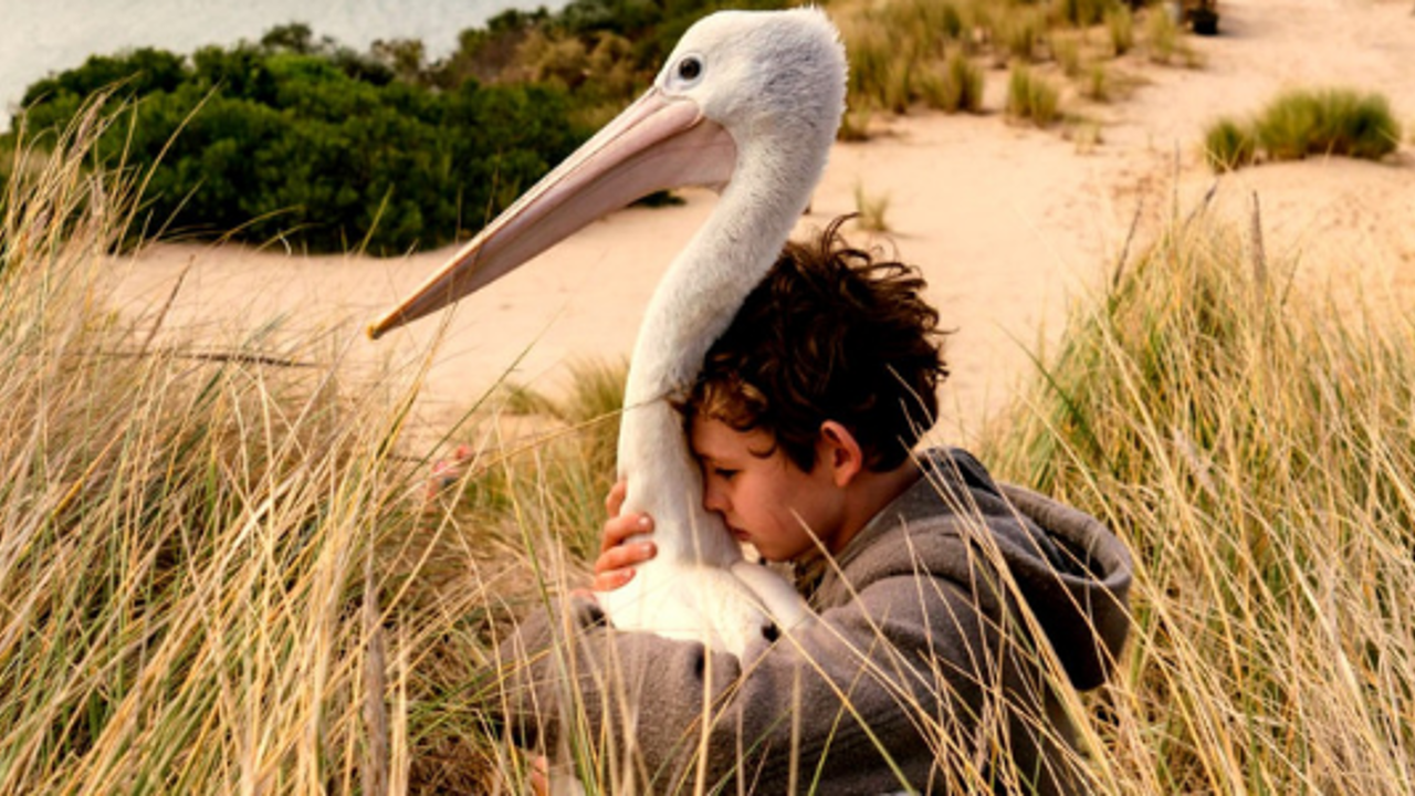 ‘Storm Boy’ magic resonates onscreen