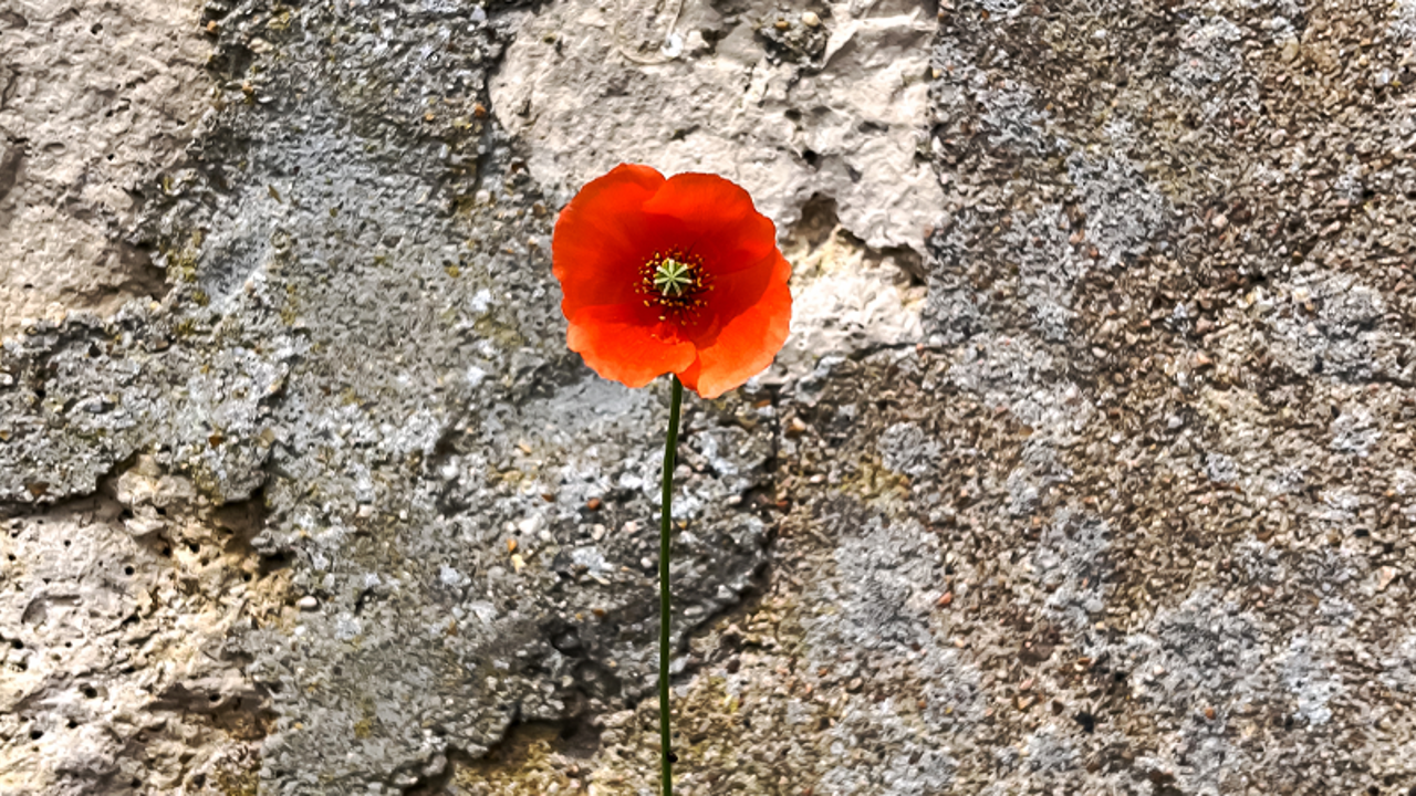 Between Two Tears: Christian Spirituality and the Israel–Gaza War